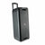 Haut-parleurs bluetooth portables NGS WILD RAVE 2 Noir 300 W