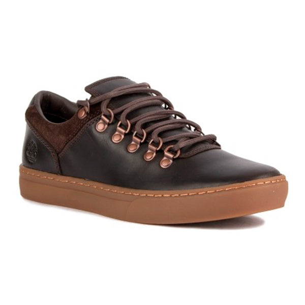 Chaussures casual homme Timberland ADV 2.0 CUPSOLE Cuir Marron