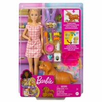 Poupée Barbie HCK75