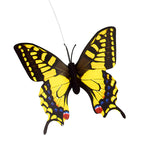 Papillon Solaire Fluttering