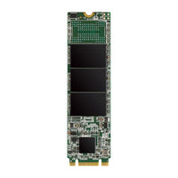 Disque dur Silicon Power A55 SSD M.2