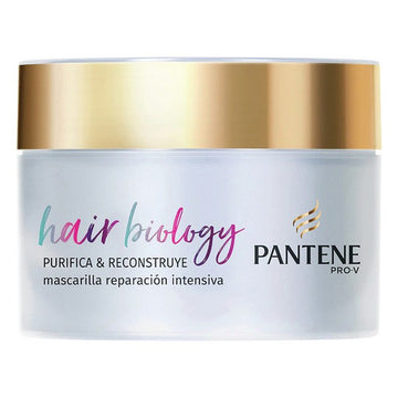 Masque pour cheveux Hair Biology Purifica & Repara Pantene (160 ml)