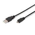 Câble USB 2.0 Ewent EC1018 Noir