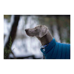 Manteau pour Chien Red Dingo Puffer 45 cm Turquoise